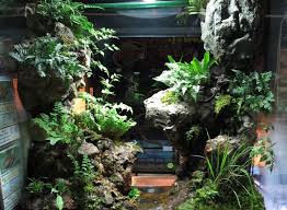 Paludarium With Water Fall Cave And Ponds Vivarium Decor Interior Design Terrarium