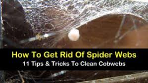How To Get Rid Of Spider Webs
