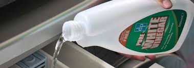 Clothes will not smell like vinegar. White Vinegar Laundry Stain Remover Descaler Dri Pak