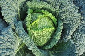 The problem with low estradiol: How To Lower Estrogen Dominance Naturally With Diet Foods