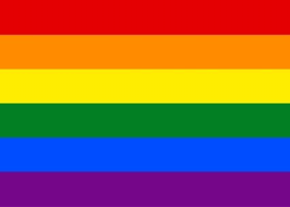 The original flag designed by baker had eight stripes. Lgbt History Month Feb 2021 The 6 Colour Pride Flag Grantown Grammar School