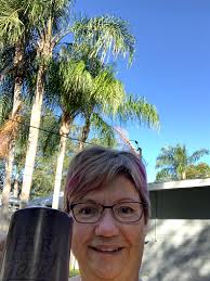 Summer Trip to Florida and Recommendations