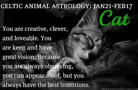 Celtic Animal Astrology Cat January 21 February 17 Celtic Animals Celtic Zodiac Signs Celtic Zodiac