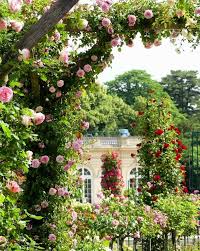 Pin By Soni Cassell On Garden Rose Garden Design French Garden Flower Field