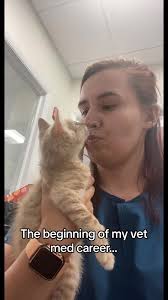 Vet med is not for the weak, be kind to your vet staff. Also, remember its  okay to cry over patients dying🧡 #vetmed #icuvetnurse #icuvettech  #ervetmed #ervettech #eccvetnurse #vetmedburntout #nomv ...