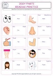 Pictures also help clarify the meanings of vocabulary and language. Body Parts English Worksheet For Kids Esl Printable Picture Dictionary Pdf Preview
