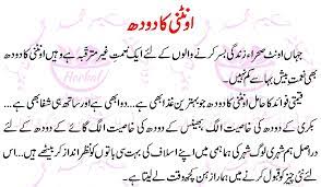 Diabetes research and clinical practice: Oontni Kay Doodh Kay Faiday Camel Milk Benefits In Urdu Health Is Wealth