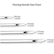 Bodyj4you 10pcs Piercing Needles Surgical Steel 16g Ear Nose Belly Tongue Nipple Eyebrow Labret