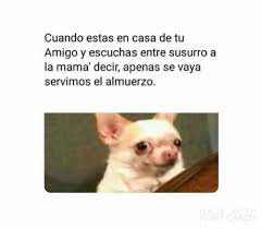 Pin By Nikki On Frases Memes Humor