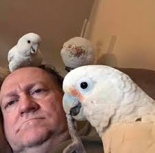 Charles David Prince Obituary February 4, 2021