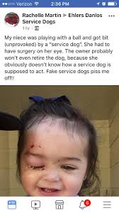 Central Florida Service Dogs, Inc.