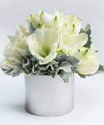 Silver Bells Flower Delivery Same Day Flower Delivery Amaryllis