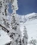 Powder Shots Best Photos Skiing Magazine Skiing Photo Cool Photos