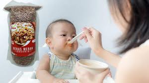 Jadwal Makan Bayi 6 Bulan Menurut Dokter Anak