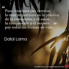 Imagenes Con Frases Practica La Tolerancia Frases Sabias Paz Interior Palabras De Sabiduria