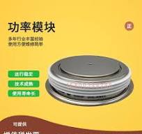 平板可控硅晶闸管模块全新5SDA09D2604 5SDA08D3205 5SDA07D3806