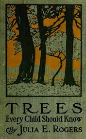 Trees That Every Child Should Know Easy Tree Studies For All Seasons Of The Year Rogers Julia El Book Cover Illustration Vintage Book Covers Antique Books