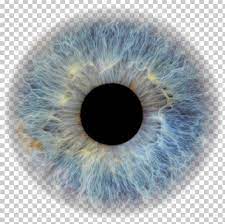Transparent Eyeball Pupil Eye Color Human Eye Png Blue Circle Closeup Color Eye Eye Texture Eye Art Iris Eye