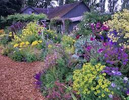 Check spelling or type a new query. Garden Nursery Eugene Or Painetworks Com Gardening Is Almost A Sport Northwest Garden Perennial Garden Cottage Garden
