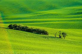 5616x3744 #pet, #animal wallpapers, #beach, #wallpaper, #puppy, #free pictures, #ear, #animal, #animal. Picjumbo Free Stock Photos