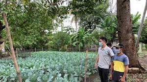 Kata ini berasal dari bahasa latin, yakni hortus atau. Cerita Sukses Tanaman Hortikultura Di Karawang Hasil Kerja Sama Ri Taiwan Global Liputan6 Com