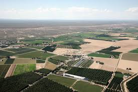 The staff, which includes horticulturists, is courteous and knowledgeable. Location Sierra Vista Growers