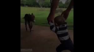 @addiemss video Tweet