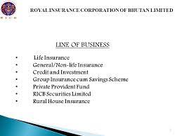 Invest on life insurance or ppf according to your budget. Royal Insurance Corporation Of Bhutan Limited Ppt Download