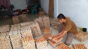 Indikasi kartel mengacu pada samanya harga telur di tingkat kandang yang rp 1.400 per butir, ujar kepala kantor perwakilan daerah kppu medan, ramli meski demikian, kenaikan harga tersebut tidak akan mendorong kenaikan harga telur yang cukup besar. Stok Telur Ayam Masih Menipis Harga Melonjak Capai Rp 55 000 Per Papan Ini Harga Kebutuhan Lainnya Halaman 2 Serambi Indonesia