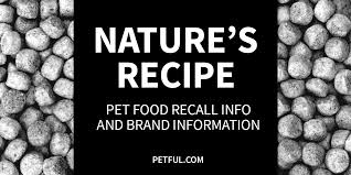nature s recipe pet food recall history