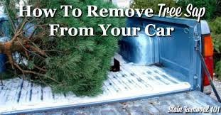 Top brands for less · curbside pickup · everyday low prices How To Remove Tree Sap From Car