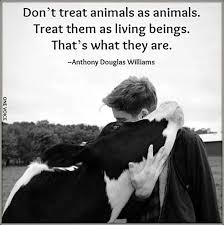 Pin By Melissa Snowden On Pets Adopt Love Keep Safe Keep Healthy And Happy Animal Rights Quotes Animals Animal Quotes