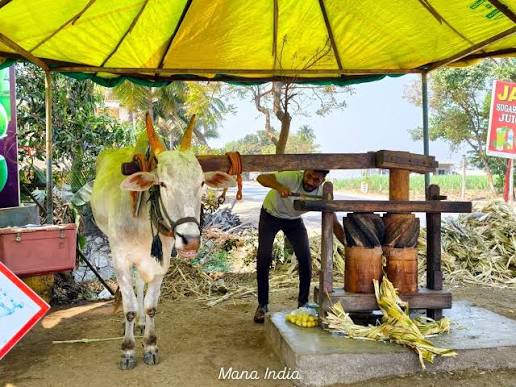 Juice Extraction