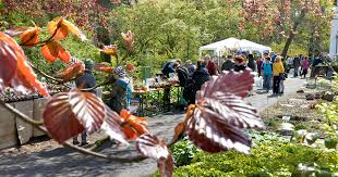 Leipziger Pflanzenmarkt 2019 Im Botanischen Garten Stadt Leipzig
