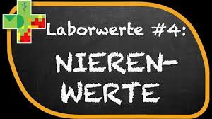 Beides liegt an der einlagerung von. Kreatinin Nierenwerte Verstehen Youtube