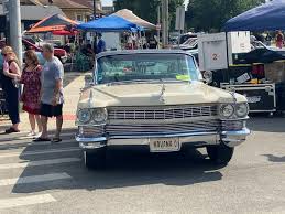 Image result for Beige 1964 Fleet