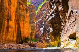 Trailhead can only be accessed by zion shuttle from march to november (see park shuttle schedule for specific dates). This Is The Absolute Best Time To Visit Zion National Park