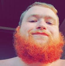 Tyler Bender's Instagram, Twitter & Facebook