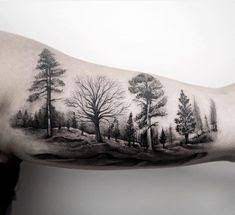 What Does Birch Tree Tattoo Mean Represent Symbolism