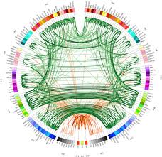 Image result for Computers Software Internet Authoring VRML