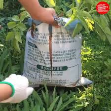 Tanam ubi keledek dalam guni. Agrocrew