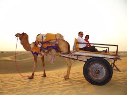 Complimentary buffet dinner at the camp. Night Camping At Sam Sand Dunes A Thrilling Experience My Voyage Story Nabanita