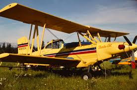 Image result for Natural Yellow 1999 Fleet