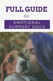 Emotional Support Dog Registration Training Emotional Support Dog Emotional Support Dog Vest Emotional Support Dog Training