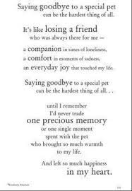 A grief that is frequently misunderstood. 9 Loss Of A Rabbit Ideas Pet Loss Grief Pet Loss Animal Quotes