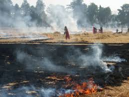 Punjab Election Questionnaire Let S Claim Our Environmental Rights