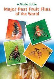 Explanation:any insect pest that infects a cop is pesticides were used to control the medfly. Https Inis Iaea Org Collection Nclcollectionstore Public 51 010 51010379 Pdf