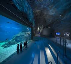 Gallery Of Building Wonder Global Aquariums Capture A Blue World 3 In 2020 Blue Planet Aquarium Aquarium Architecture The Blue Planet