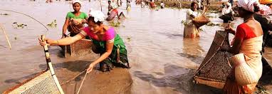 জীৱনত সুখী হ'বলৈ নিজকে জনাটো বৰ প্ৰয়োজন।author ( fan page ). I Draw All My Characters From The Real World How Homen Borgohain Documents Assamese Life