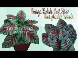 Diy Cara Membuat Bunga Keladi Red Star Dari Plastik Kresek How To Make Caladium Flowers From Plastic Youtube Bunga Kreatif Ide